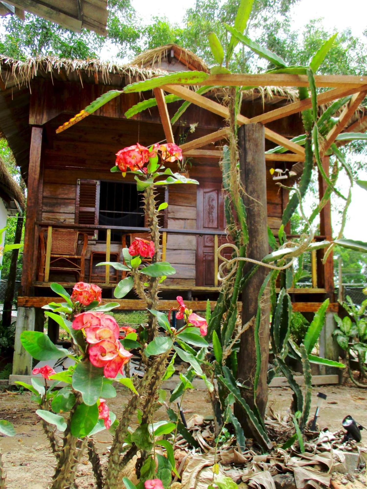 Om Home Sihanoukville Zimmer foto
